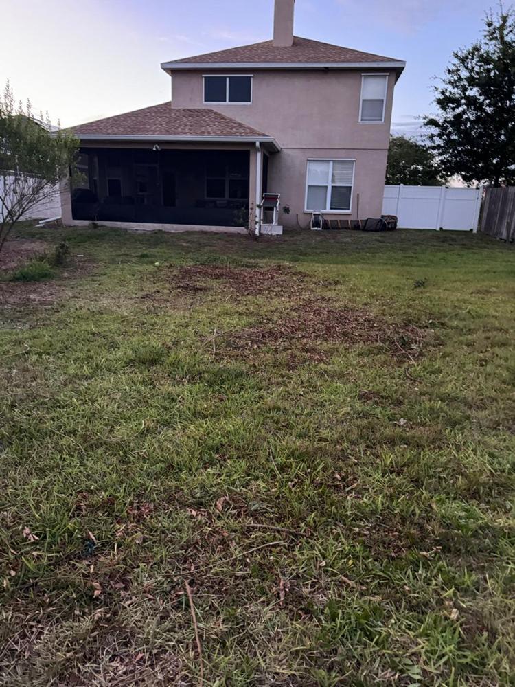 Backyard cleared after a yard debris pickup