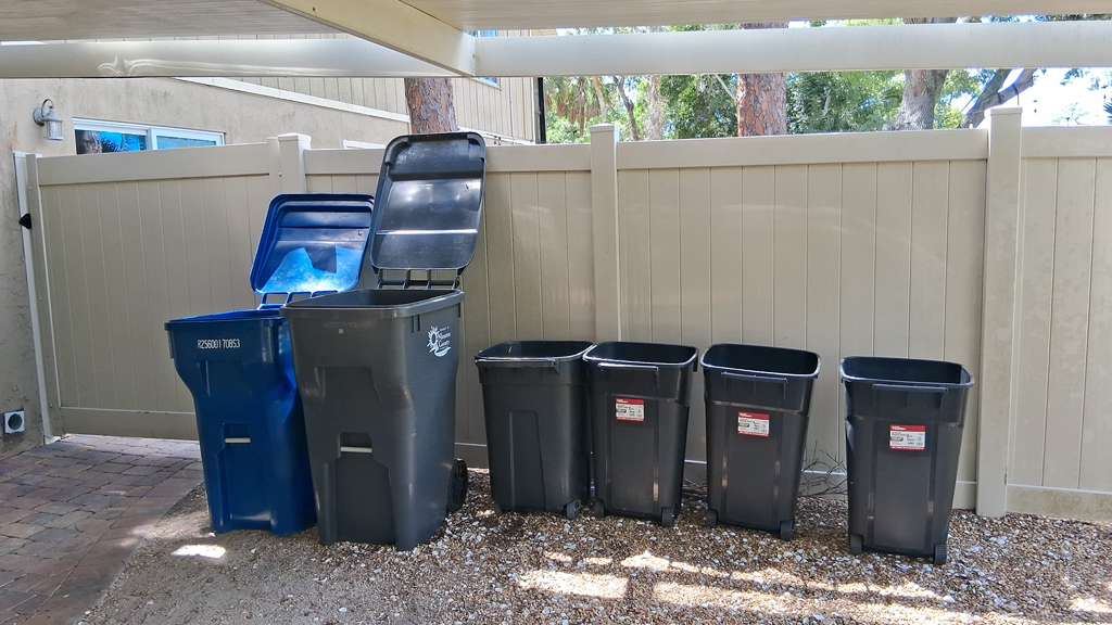 Trash and recycling bins lined up after a yard cleanout